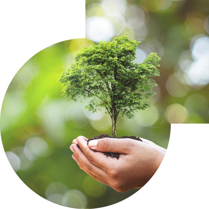 关怀人类、文化、环境与社会